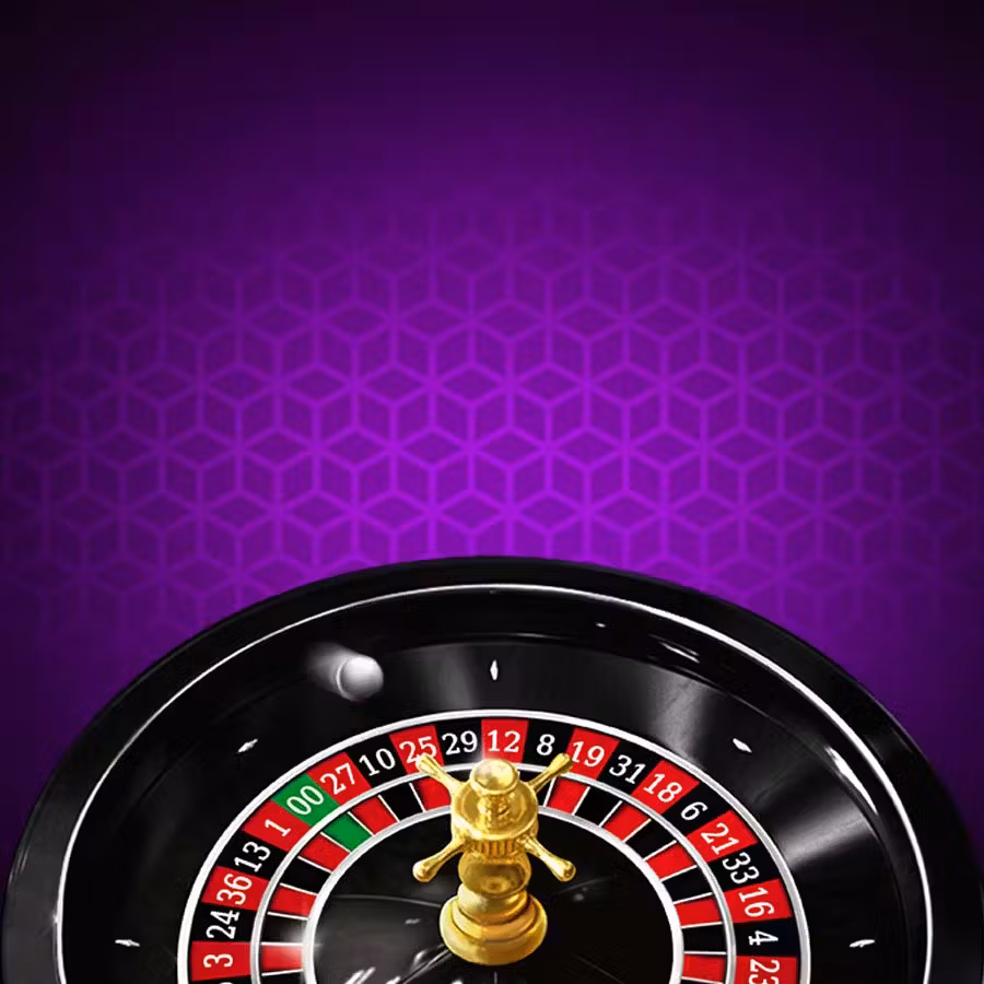 Live dealer session view showcasing OKZZ's immersive casino gameplay with professional dealers
